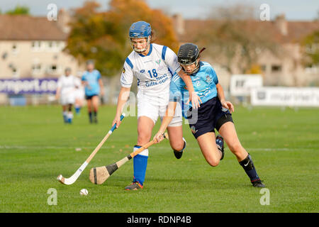 Marine Harvest Ecosse v Dublin shinty camogie, match joué à l'Bught, Inverness. Banque D'Images