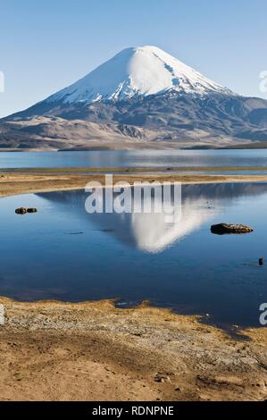 Volcan Parinacota reflétant dans le lac Chungara, le parc national de Lauca, Réserve de biosphère de l'UNESCO, la région d'Arica et Parinacota Banque D'Images