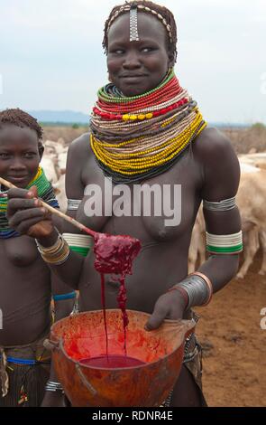 Le mélange de sang de vache femme, les Nyangatom, Bume Buma ou tribu, éthiopienne, vallée de l'Omo Banque D'Images