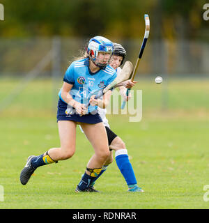 Marine Harvest Ecosse v Dublin shinty camogie, match joué à l'Bught, Inverness. Banque D'Images