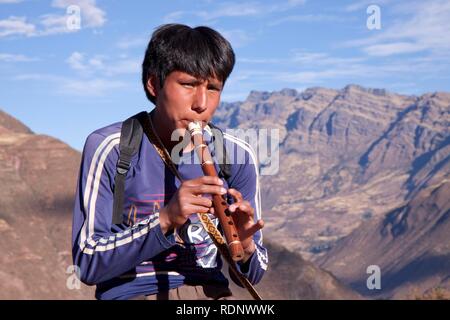 Joueur de flûte au ruines Incas près de Pisac, hauts plateaux andins, le Pérou, Amérique du Sud Banque D'Images