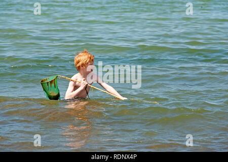 Jeune garçon essayant d'attraper les poissons avec une épuisette, Timmendorf, l'île de Poel, Allemagne du Nord, la mer Baltique Banque D'Images
