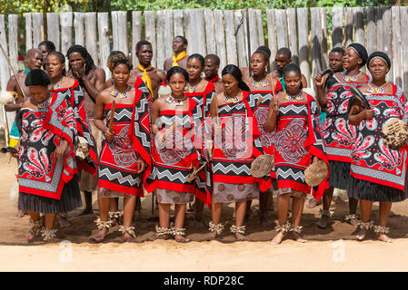 Swazi traditionnel de la danse par la troupe d'affichage à l'Mantenga Cultural Village, la Vallée d'Ezulwini, Swaziland eSwatini anciennement connu sous le nom de Banque D'Images