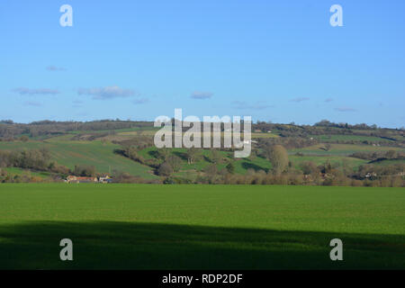 Vue sur champ vert en hiver, dans les champs et les fermes au-delà, près de Compton Pauncefoot, Somerset, Angleterre. Banque D'Images