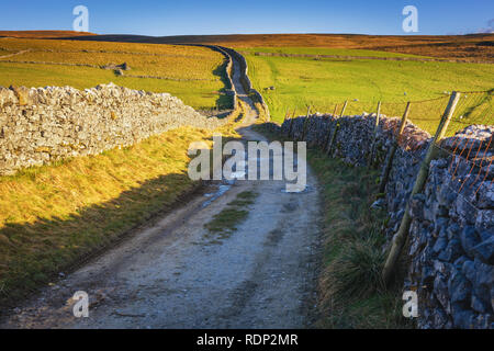 Ingleborough (723 m ou 2 372 pi) est la seconde plus haute montagne dans le Yorkshire Dales. C'est l'un des trois sommets du Yorkshire (les deux autres étant Pe. Banque D'Images