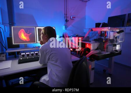 La biotechnologie, microscope à fluorescence, une version spéciale d'un microscope optique qui peut visualiser l'étiquette fluorescente Banque D'Images