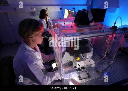 La biotechnologie, microscope à fluorescence, une version spéciale d'un microscope optique qui peut visualiser l'étiquette fluorescente Banque D'Images