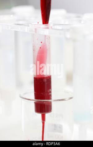 Laboratoire, la purification de protéine avec PD10-colonne, Centre pour la biotechnologie médicale Université Duisburg-Essen Banque D'Images