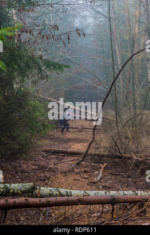 Image d'une femme passe par le tronc des arbres tombés qui bloquent la voie sur un chemin dans la forêt avec la lumière de brume dans les Ardennes Belges Banque D'Images