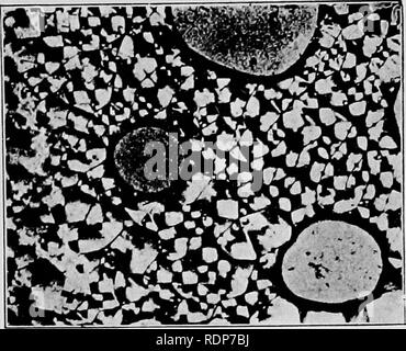 . L'origine de la vie, sa base physique et de définition. La Vie (biologie). C. Lehmann a cristaux liquides. (Voir page 106.). Veuillez noter que ces images sont extraites de la page numérisée des images qui peuvent avoir été retouchées numériquement pour plus de lisibilité - coloration et l'aspect de ces illustrations ne peut pas parfaitement ressembler à l'œuvre originale.. Burke, John Benjamin Butler, 1873-. London, Chapman and Hall, Ltd. Banque D'Images
