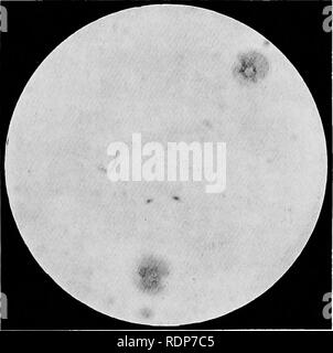 . L'origine de la vie, sa base physique et de définition. La Vie (biologie). IJ.. III. [D/ace puye Li. Veuillez noter que ces images sont extraites de la page numérisée des images qui peuvent avoir été retouchées numériquement pour plus de lisibilité - coloration et l'aspect de ces illustrations ne peut pas parfaitement ressembler à l'œuvre originale.. Burke, John Benjamin Butler, 1873-. London, Chapman and Hall, Ltd. Banque D'Images