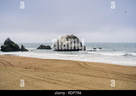 Paysage côtier, Lands End, San Francisco, Californie Banque D'Images