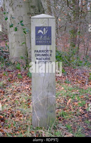 Drumble du perroquet, Talk, Staffordshire Wildlife Trust Banque D'Images