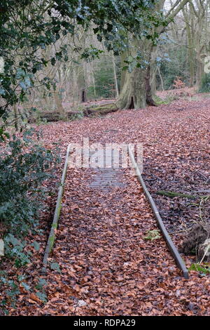 Drumble du perroquet, Talk, Staffordshire Wildlife Trust Banque D'Images