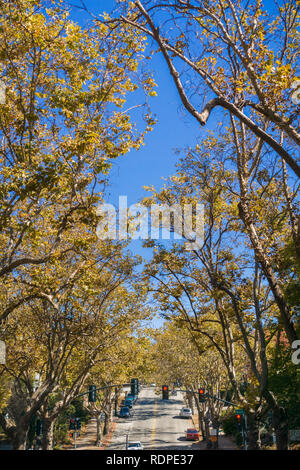 Rue bordée d'arbres dans un quartier résidentiel sur une journée ensoleillée d'automne, Oakland, San Francisco, Californie Banque D'Images