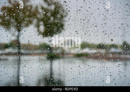 Gouttes de pluie sur le pare-brise ; arbres se reflétant dans la chaussée mouillée ; Banque D'Images