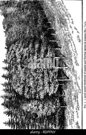 . Les principes de l'arboriculture fruitière, avec des applications à la pratique. La culture de fruits. . Veuillez noter que ces images sont extraites de la page numérisée des images qui peuvent avoir été retouchées numériquement pour plus de lisibilité - coloration et l'aspect de ces illustrations ne peut pas parfaitement ressembler à l'œuvre originale.. Bailey, L. H. (Liberty Hyde), 1858-1954. New York : Macmillan Banque D'Images