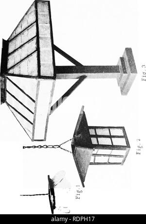 . Les ressources halieutiques des îles Philippines avec des descriptions de nouvelles espèces . Poissons ; les ressources halieutiques. . Veuillez noter que ces images sont extraites de la page numérisée des images qui peuvent avoir été retouchées numériquement pour plus de lisibilité - coloration et l'aspect de ces illustrations ne peut pas parfaitement ressembler à l'œuvre originale.. Seale, Alvin, 1873-. [Manille ?  : S. n. Banque D'Images