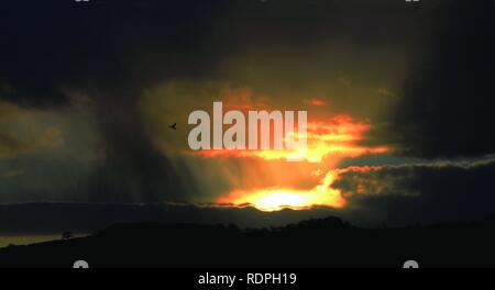 Incroyable coucher du soleil avec des nuages de pluie et d'oiseaux en vol. Des faisceaux de lumière. Plus de Dartmoor, dans le Devon. Banque D'Images