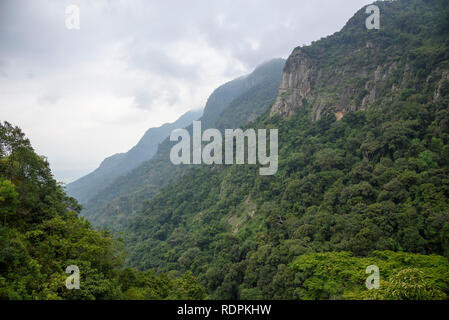 Nilgiri, vue depuis le chemin de fer de montagne de Nilgiri, entre Ooty et Mumbai, Chennai, Inde Banque D'Images