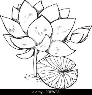 Lotus peinture faite par des lignes à main levée. Idée de tatouage. Illustration de Vecteur