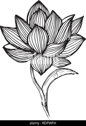 Lotus peinture faite par des lignes à main levée. Idée de tatouage. Illustration de Vecteur