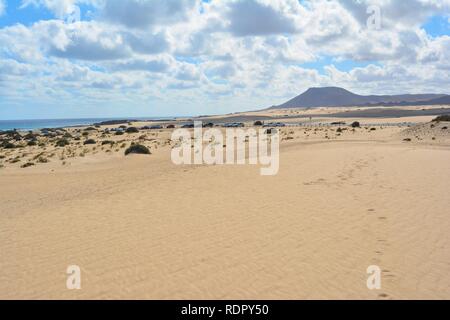 Le golden dunes du Parc Naturel de la côte de Corralejo. Fuerteventura, Espagne. Banque D'Images