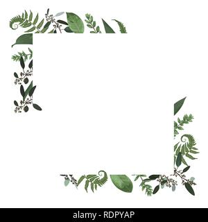 Carte vecteur floral design avec aquarelle vert, eucalyptus, fougères des forêts, des herbes, de l'eucalyptus, des branches de buis, Buxus, vert botanique, décoratives hori Illustration de Vecteur
