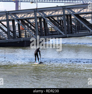 Un homme faisant palette sur le fleuve Tage, Portugal Banque D'Images