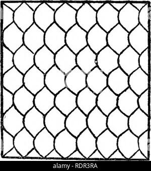 . Les serpents terrestres venimeux de nos British Indian dominions, y compris de Ceylan, et comment les reconnaître ; avec des symptômes de l'empoisonnement et snake le traitement. Les serpents, les serpents. Les serpents venimeux op de l'Inde.. Fig. 2 -ventre de Eleutherodactylus (X 5) cos^Venirals als Fig. 3.-Hipistes hydrinus de ventre (nat.). Cosio Lasi/j' Ana/. Veuillez noter que ces images sont extraites de la page numérisée des images qui peuvent avoir été retouchées numériquement pour plus de lisibilité - coloration et l'aspect de ces illustrations ne peut pas parfaitement ressembler à l'œuvre originale.. Mur, Frank, 1868-. Bombay, Bombay Natural History afin Banque D'Images