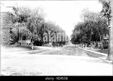 . La plantation d'arbres sur les voies publiques et dans les rues. La plantation d'arbres ; les routes. J. C. MC, CLINTUCK PHorO. Bouleaux blancs.-Rochester, N. Y.. Veuillez noter que ces images sont extraites de la page numérisée des images qui peuvent avoir été retouchées numériquement pour plus de lisibilité - coloration et l'aspect de ces illustrations ne peut pas parfaitement ressembler à l'œuvre originale.. Fox, William F. (William Freeman), 1840-1909. Albany, J. B. Lyon, imprimantes Banque D'Images