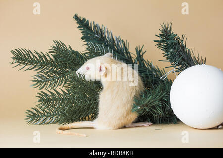 Le rat est un symbole de la nouvelle année 2020. Rat Race Husky décoratif est assis sur les branches d'un arbre de Noël artificiel Banque D'Images