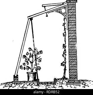 . La construction de serres et de chauffage : contenant la description complète des différents types de serres, cuisinière, obligeant les maisons maisons, de puits et de cadres, avec les instructions de leur construction, et aussi une description des différents types de chaudières, tuyauteries, appareils de chauffage et en général, avec des instructions pour la fixation de la même. Les serres. 130 GEEENHOUSE CONSTEUCTION ET CHAUFFAGE. ou la température à l'intérieur sera responsable d'augmenter à un moment fort dommageable sous l'influence de soleil clair- briller. Dans une certaine mesure de l'air peut être donné, par temps doux, en faisant glisser l'avant s'allume en même temps de manière à Banque D'Images