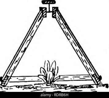 . La construction de serres et de chauffage : contenant la description complète des différents types de serres, cuisinière, obligeant les maisons maisons, de puits et de cadres, avec les instructions de leur construction, et aussi une description des différents types de chaudières, tuyauteries, appareils de chauffage et en général, avec des instructions pour la fixation de la même. Les serres. FIG. 77. de sol, ceux-ci viennent très cher. Une cloche de verre, verre, pro- pagating ou " cloche " est montré en Fig. 77. Un appareil très pratique, bien ansvrering handlights la même fin que, mais beaucoup moins coûteux, et même plus utile, est facilement cons Banque D'Images