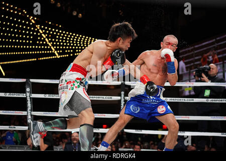New York, New York, USA. 18 janvier, 2019. DOHENY TJ (lignes bleues) batailles RYOHEI TAKAHASHI dans un super combat poids coq au Théâtre Hulu au Madison Square Garden de New York, New York. Crédit : Joel Plummer/ZUMA/Alamy Fil Live News Banque D'Images