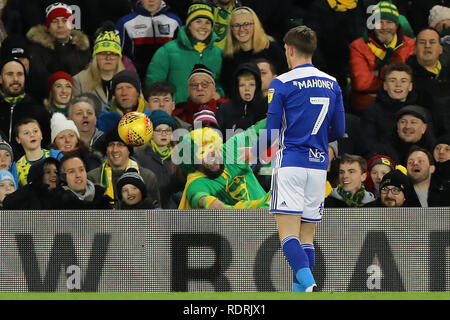 Norwich, Royaume-Uni. 18 janvier, 2019. Habillé d'un ventilateur de Norwich City pousse Connor Mahoney de Birmingham City - Norwich City v Birmingham City, Sky Bet Championship, Carrow Road, Norwich - 18 janvier 2019 Editorial - N'utilisez que des restrictions s'appliquent : Crédit DataCo Images Journée Limited/Alamy Live News Banque D'Images