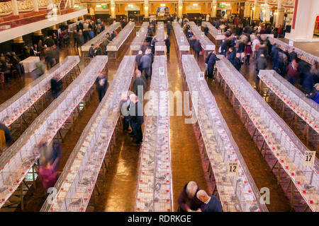 Blackpool, Lancashire. 19 Jan, 2019 au Royaume-Uni. Pigeon voyageur britannique Show. Le pigeon de annuel show se tient à la salle d'exposition des jardins d'hiver ce week-end. Le plus grand rassemblement de Pigeon fanciers au Royaume-Uni a lieu en janvier de l'accueil jusqu'à 10 000 colombophiles sur l'événement de deux jours.. MediaWorldImages AlamyLiveNews Crédit :/MediaWorldImages AlamyLiveNews/Crédit : Banque D'Images