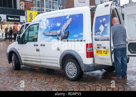 Blackpool, Lancashire. Royaume-Uni 19th janvier 2019. British Homing Pigeon Show. Ce week-end, le spectacle annuel de pigeon de course se tient au Winter Gardens Exhibition Hall. Le plus grand rassemblement de fantassins Pigeon au Royaume-Uni a lieu en janvier et accueille jusqu'à 10 000 fantassins au cours de l'événement de deux jours. Banque D'Images