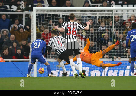 Newcastle , Royaume-Uni. 19 janvier 2019. Fabian Schar de Newcastle United (5) les tiges et marque son 2e but et ses équipes. Premier League, Newcastle United v Cardiff City à St James' Park à Newcastle Upon Tyne, le samedi 19 janvier 2019. Cette image ne peut être utilisé qu'à des fins rédactionnelles. Usage éditorial uniquement, licence requise pour un usage commercial. Aucune utilisation de pari, de jeux ou d'un seul club/ligue/dvd publications. Photos par Chris Stading/Andrew Orchard la photographie de sport/Alamy live news Crédit : Andrew Orchard la photographie de sport/Alamy Live News Banque D'Images