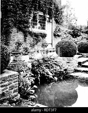 . Jardins pour les petites maisons de campagne . Jardins, l'anglais. 36 Garde7est pour les petites maisons de campagne. Chapitre V.-UN JARDIN À WEST SURREY. La pauvreté des sols-Pas de plan défini- cour pavée avec réservoir et étapes-couleurs en fleurs- frontières -- Les chemins forestiers Thunder-chambre. Quinze acres de sol possible les plus pauvres, un peu en pente vers le nord, dans les collines du Surrey. Une peau fine de tourbé la masse sur la partie supérieure, avec une croissance naturelle de Heath, whortleberry et Bracken, lorsqu'un bois de sapin Scotch avait été coupé des douze ans auparavant ; la partie centrale d'une plantation de châtaigniers, de l'inférieur, un pauvre, avec un champ de sable h Banque D'Images