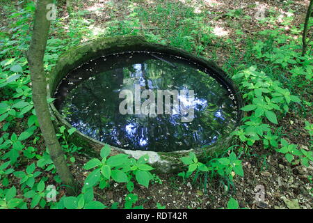 Ein alter Brunnen, eingegrabenes Fass mit Wasser gefüllt im Wald Banque D'Images