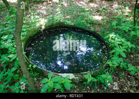 Ein alter Brunnen, eingegrabenes Fass mit Wasser gefüllt im Wald Banque D'Images