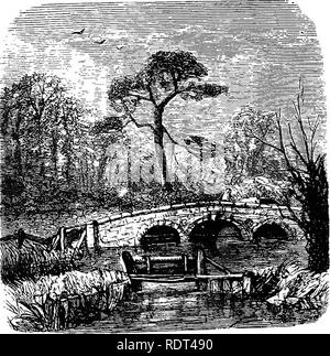 . Mon jardin, son plan et la culture en collaboration avec une description générale de sa géologie, de la botanique, et l'histoire naturelle. Le jardinage. Le climat et les gelées de printemps. Juin 561, les cerises sur le milieu, et vers la fin du mois de groseille et de cassis. En juillet nos cadres nous rendement les melons, et notre pauvre homme chez les raisins. À la fin du mois les premières cultures de poires, pommes, prunes et mûrir, et le verger-Chambre donne-nous les pêches, nectarines et abricots. Au cours des mois de mai et juin La Nature se plaît dans l'activité, chaque arbre, arbuste, et la culture d'espèces végétales avec rapidité et l'énergie. Cela continue plus ou Banque D'Images
