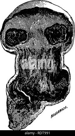 . Les parcs et jardins de Paris, considérée en relation avec les désirs des autres villes et des jardins publics et privés ; être notes sur une étude des Jardins de Paris. Jardinage ; Jardins ; Parcs nationaux. Attaqué par les champignons *'7noUe"-(^Lachaume-') " molle " est la conséquence de les lits trop entassés dans un espace confiné. Selon eux, les vapeurs produites par la fermentation du fumier deviennent des résumés sur les murs, et, mêlant des infiltrations naturelles, tombent sur les lits, et entraîner la décomposition du fumier. Ils fondent leur opinion sur Banque D'Images
