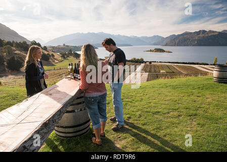 La dégustation du vin au Rippon avec de belles vues, des dégustations ont lieu en principe dans la salle de dégustation, mais à l'occasion, peut se produire dans la pelouse. Rippon est Banque D'Images