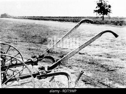 . L'arachide, la légumineuse imprévisibles ; un symposium. Arachides, arachides. Pratiques culturelles 201. Figure 6.-Bar sur deux chevaux pour le labour cultivateur jusqu'arachides.. Veuillez noter que ces images sont extraites de la page numérisée des images qui peuvent avoir été retouchées numériquement pour plus de lisibilité - coloration et l'aspect de ces illustrations ne peut pas parfaitement ressembler à l'œuvre originale.. Arant, F. S. (Frank Selman, 1904-) ; National Association d'engrais (1925- ) nourriture végétale Comité de recherche. Washington, National Association d'engrais Banque D'Images