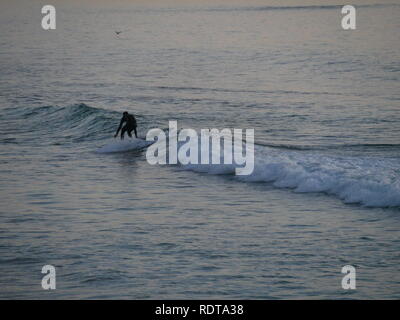 Surfer en Floride dans la matinée sur une vague Banque D'Images