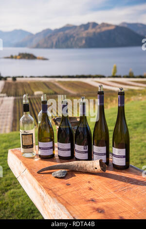 La dégustation du vin au Rippon avec de belles vues, des dégustations ont lieu en principe dans la salle de dégustation, mais à l'occasion, peut se produire dans la pelouse. Rippon est Banque D'Images