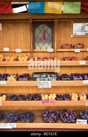 Glenvale vergers, ou d'un barrage de bons fruits, est un stand de fruits en bordure de route et l'autocueillette verger à Cromwell, Central Otago, île du Sud, Nouvelle-Zélande. Quand Banque D'Images