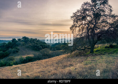 Paysage au coucher du soleil à Henry W. Coe State Park, South San Francisco, Californie Banque D'Images